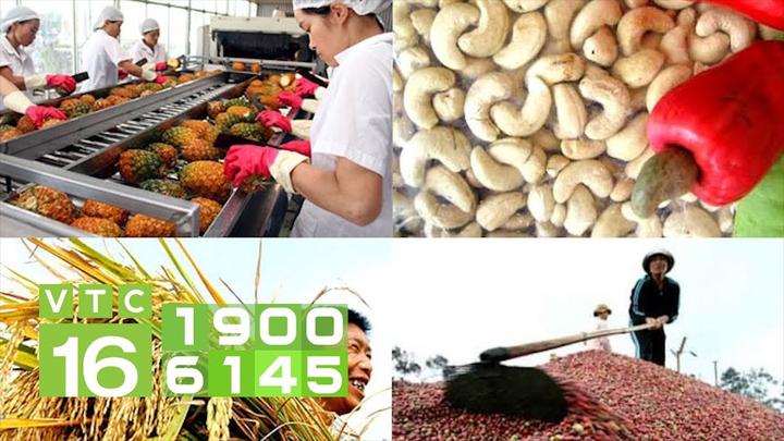 Hotspot Matrix: Cơ hội đầu tư an toàn cho người khởi nghiệp