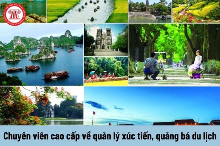 Từ Giới trẻ chọn máy lạnh thế đến chiến lược content: Hotspot Matrix chia sẻ