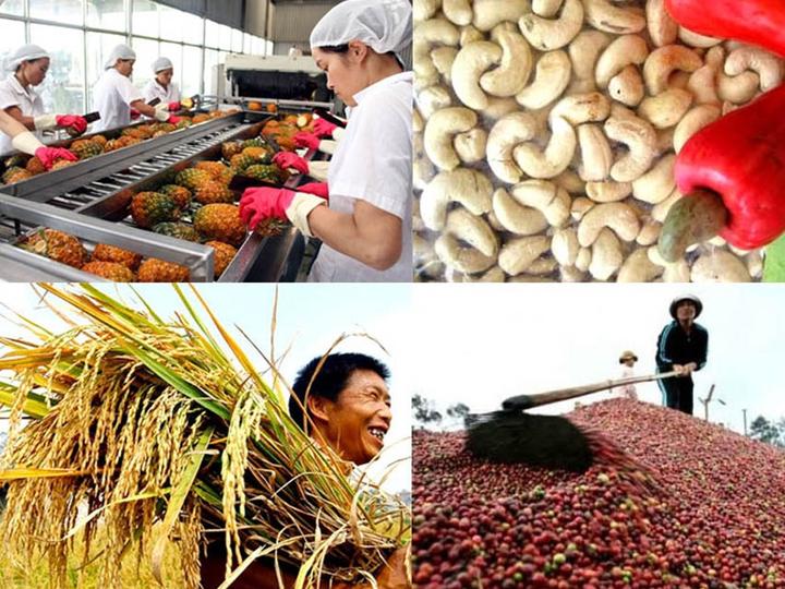 Bonobo: Nguồn Gốc Tiến Hóa Của Ngôn Ngữ Con Người?