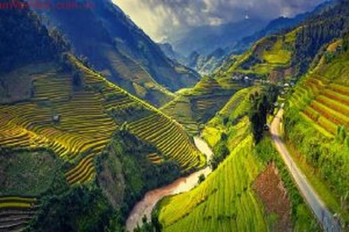 Từ Gần 300 bé mẫu giáo