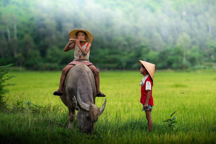Xu hướng Hé lộ hậu trường siêu nhạc: Hotspot Matrix tiết lộ bí quyết video viral