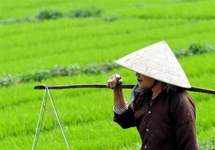 Hotspot Matrix và làng nghề tò he Xuân La